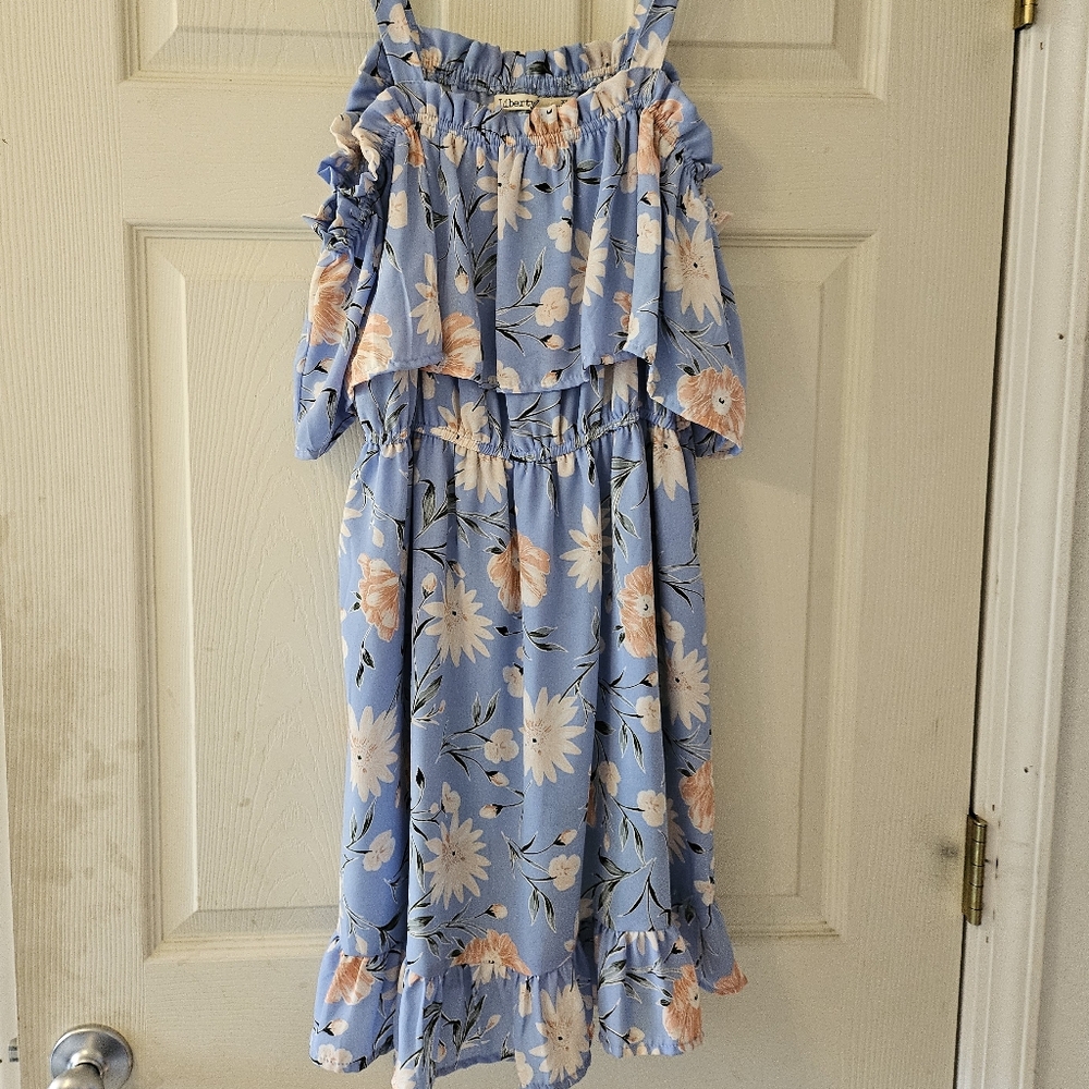 Floral Blue Dress
